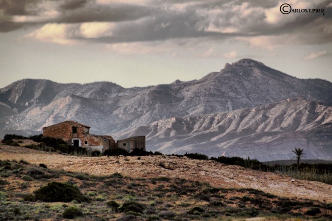 CASA Y MONTA+æAS