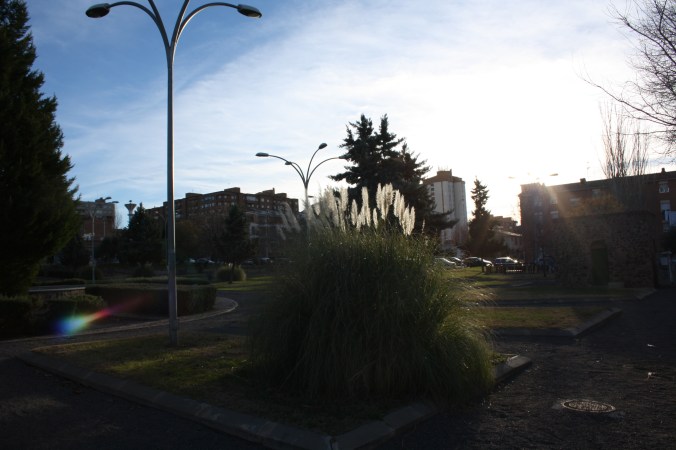 IMG_8706
