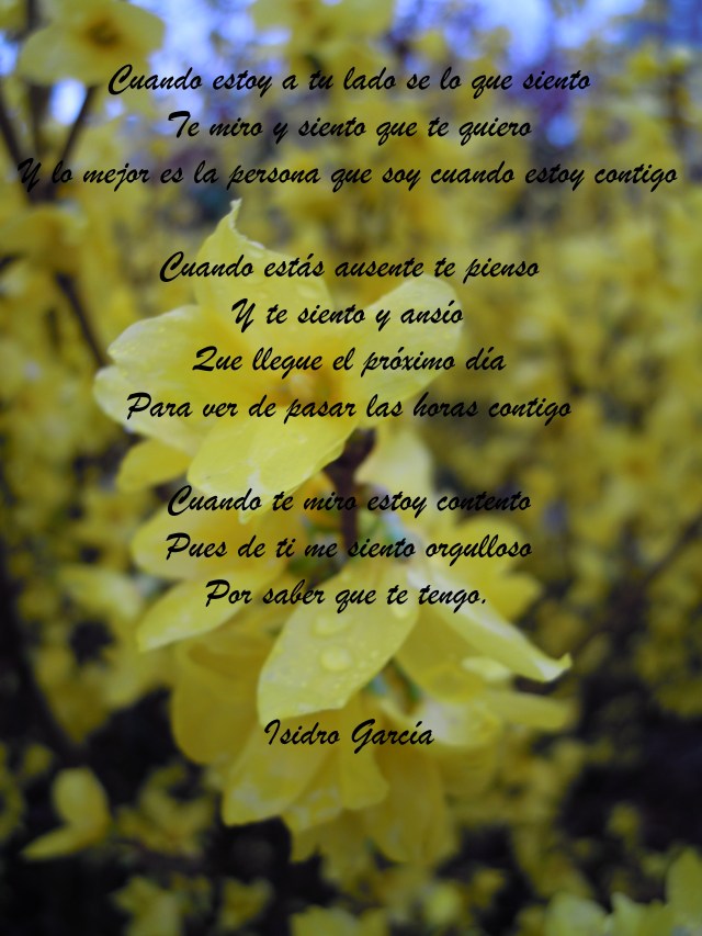 cuando estoy a tu lado