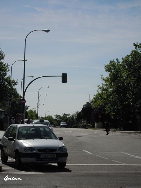 Día de la Comunidad de Madrid