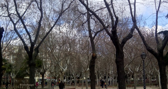 28febreroParquePelón
