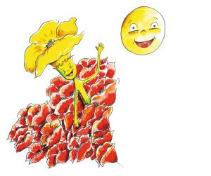 la amapola amarilla 2