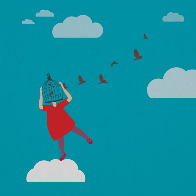 pajaros en la cabeza2