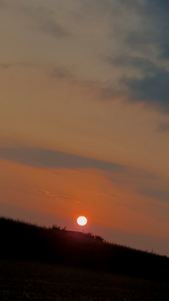 disfruta de los pequeños momentos