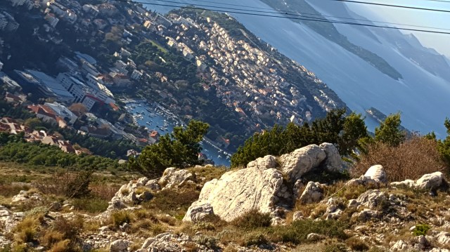 ven, asómate conmigo