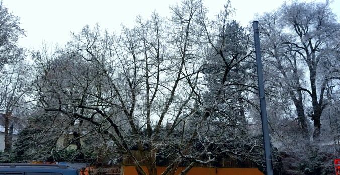 seguimos-en-invierno