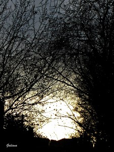 amanecer en moratalaz marzo 2013