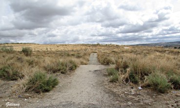 caminito tras el polideportivo