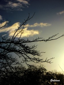 amanecer en Moratalaz abril 2013 3