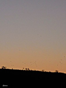 amanecer rivas enero