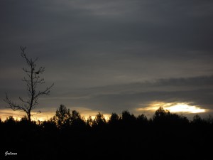 amanecer moratalaz febrero 2013