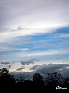 atardecer en el retiro abril 2013 II