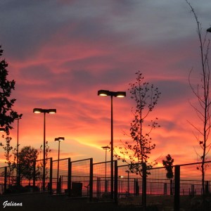 atardecer rivas 2013 4