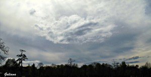 lago atardecer en Madrdi abril 2013