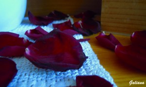 camino a seguir de pétalos