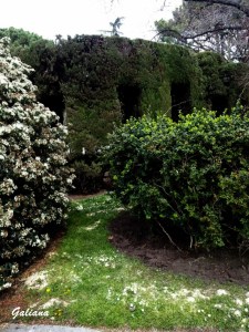 Jardines del retiro