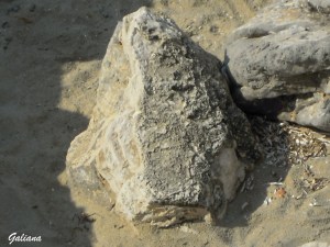 rocas en la arena con algas secas