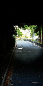 mirador parque
