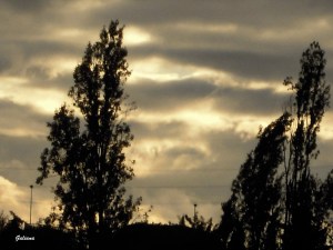 tarde uam noviembre 2