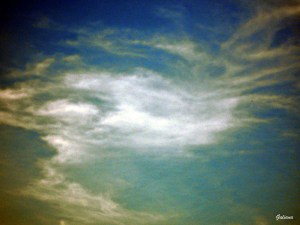 cielos rivas enero 2013