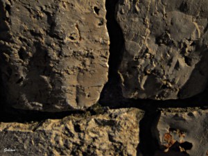 Piedras que esconden